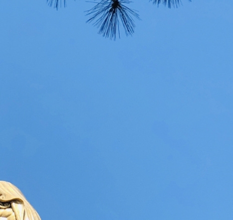 清风购物小票