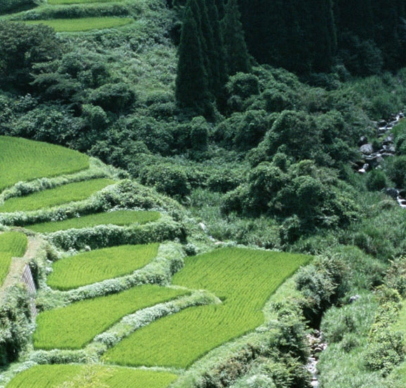 生活效率