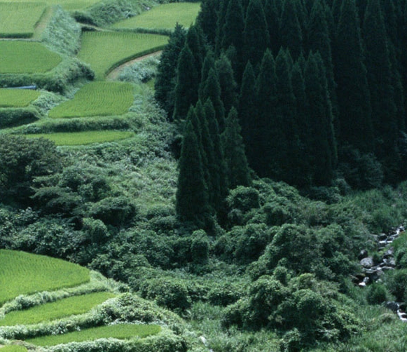情感篇