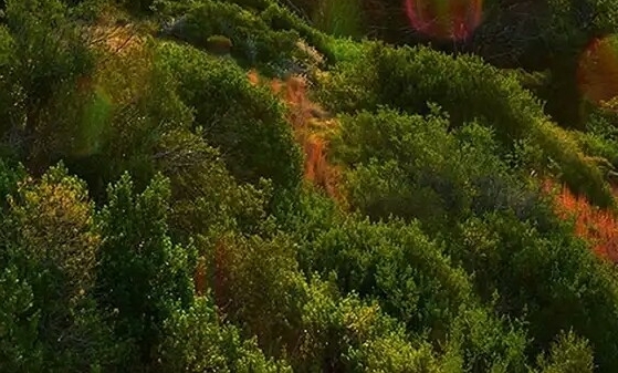 石门东城购物城三友餐馆