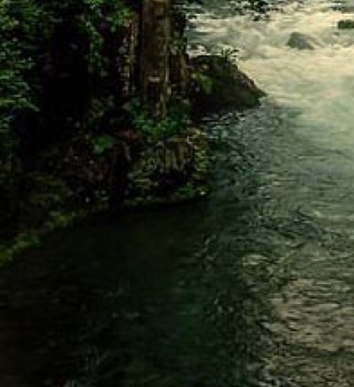 陵水市区商城