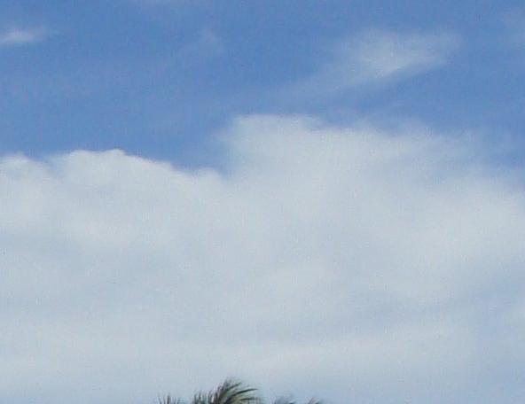 沉浸式购物德国