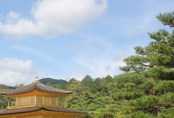 光遇文