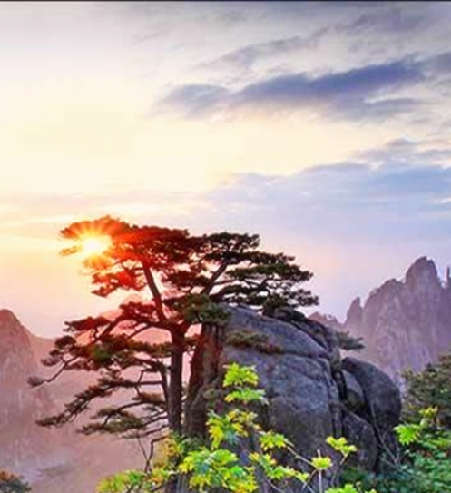 购物场景速写图片素材