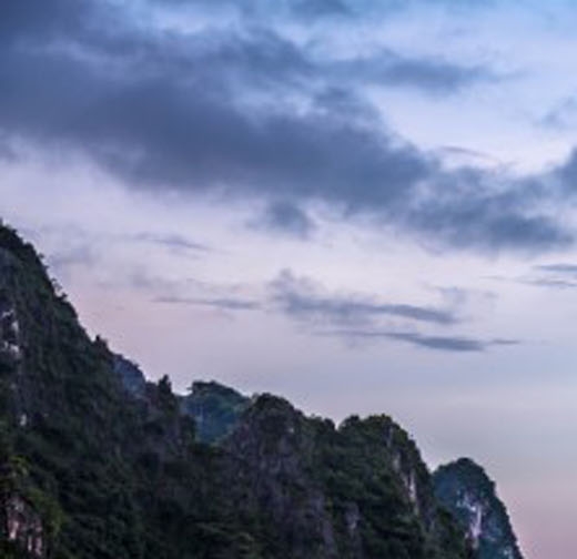 爱情喵喵喵