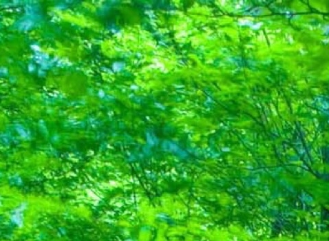 经典常谈第一章文学常识