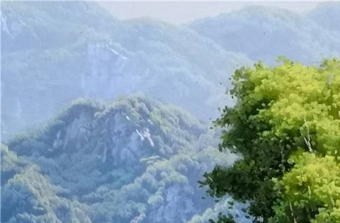 生活常识大全1000题及答案