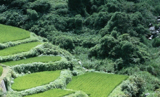 小小嗨生活