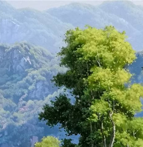 正面管教讲师证怎么考