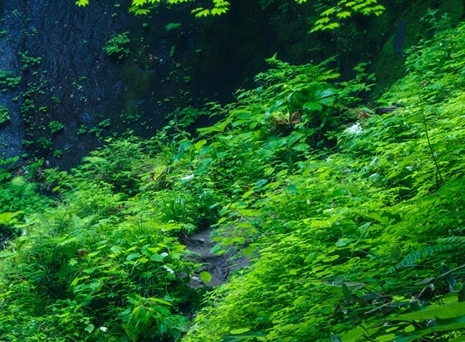 小俞风城同人文