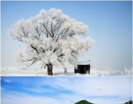 余虹艺术班