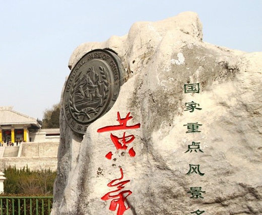 阴阳中药艺术