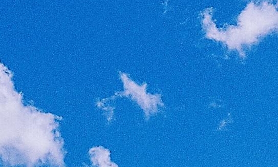艺术修养计划目标怎么写