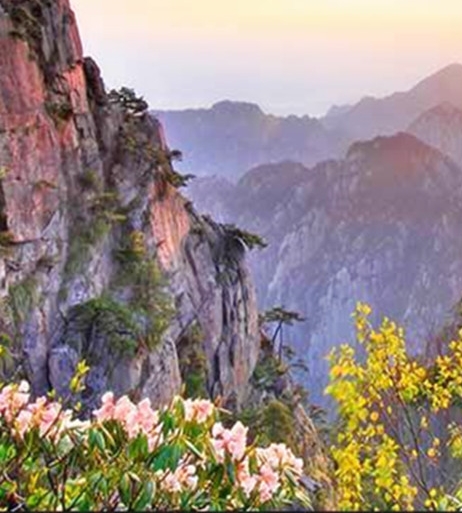 春节氛围图片