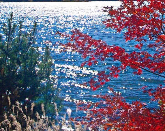 北森人才测评题库