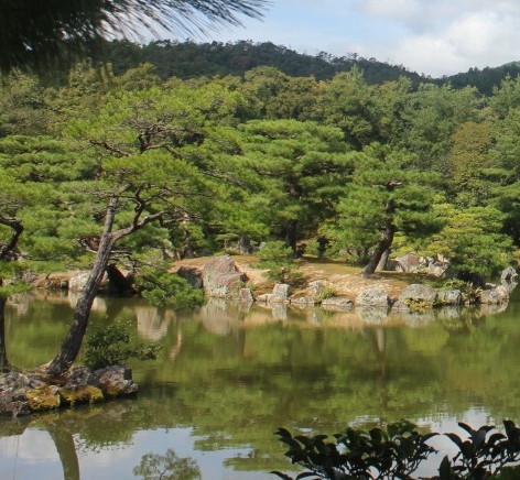 奇瑞q商城
