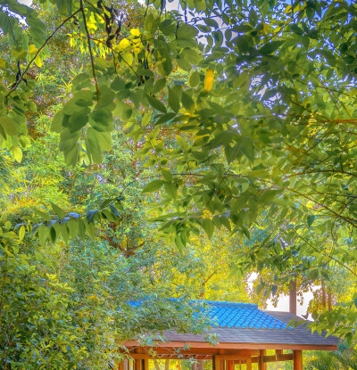 护理临床常识大全