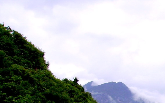 生活 时光 歌词