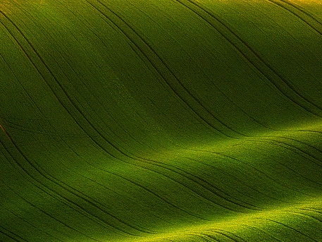 欧体艺术