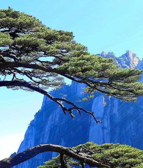 爱生活的音符职业
