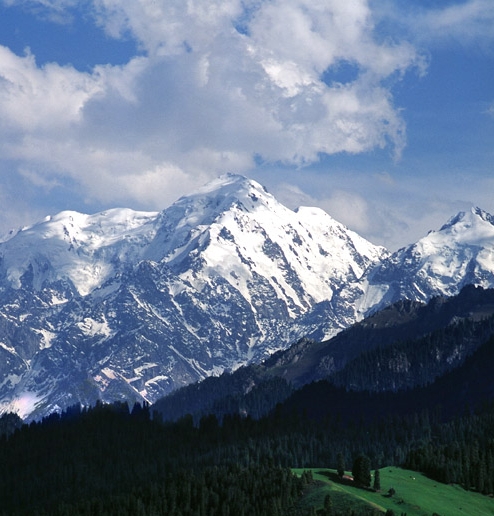 极简油画