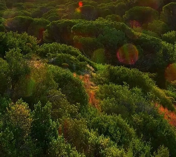 生活碎片照片