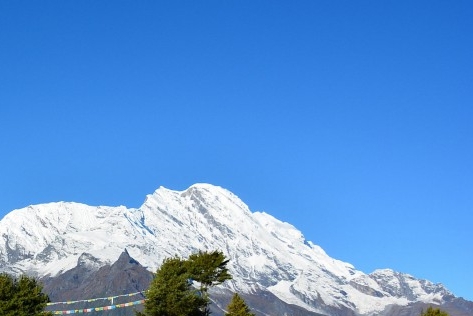 小米商城哨兵红包