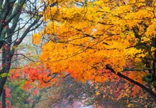山西国考笔试常识