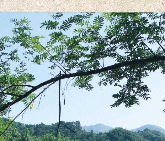 常识从哪里开始学