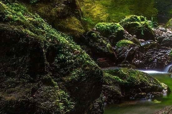 通山佳品生活