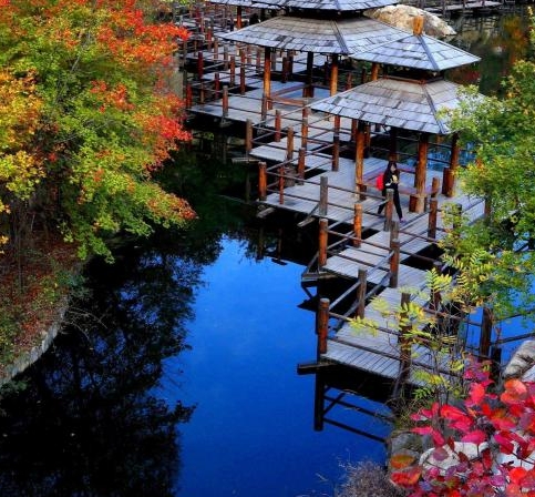 樱校独居生活