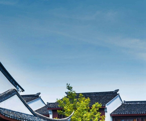 路飞队友的名字大全
