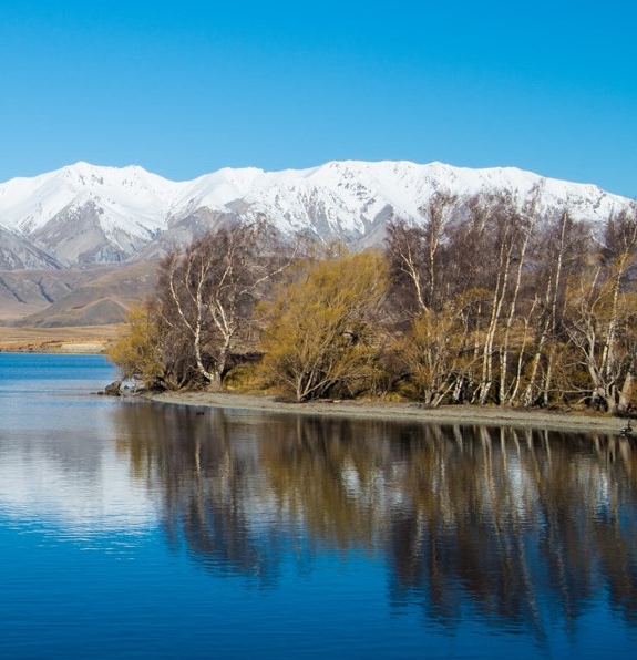 云岭先锋网登录