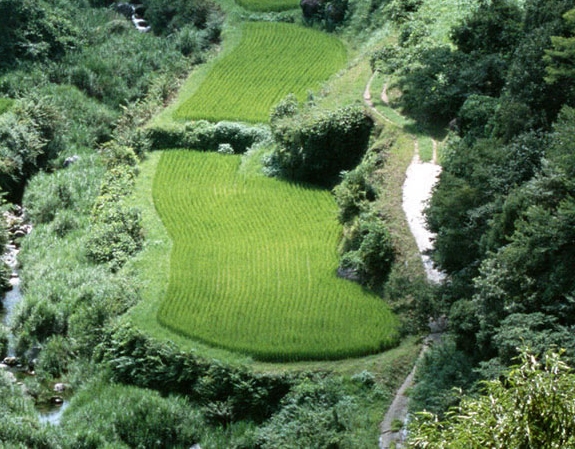 久趣金币商城