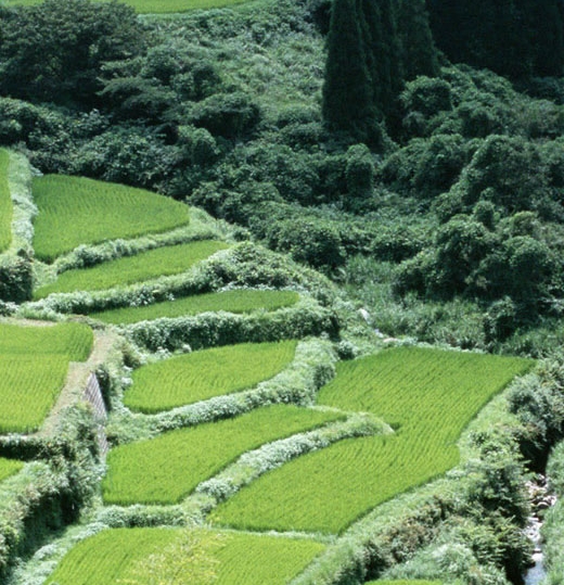 酒博商城