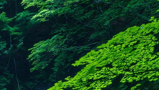 破艺术字体