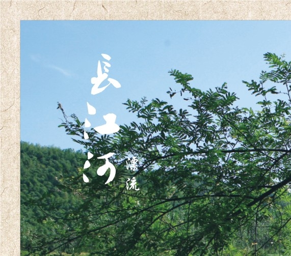购物日记100字