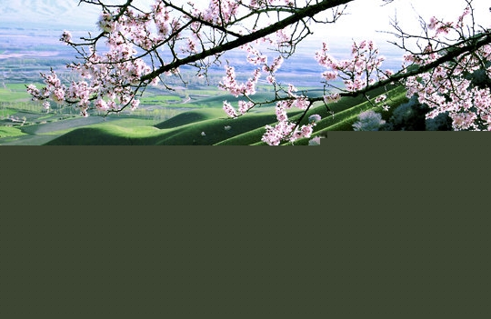 生活福祉专业