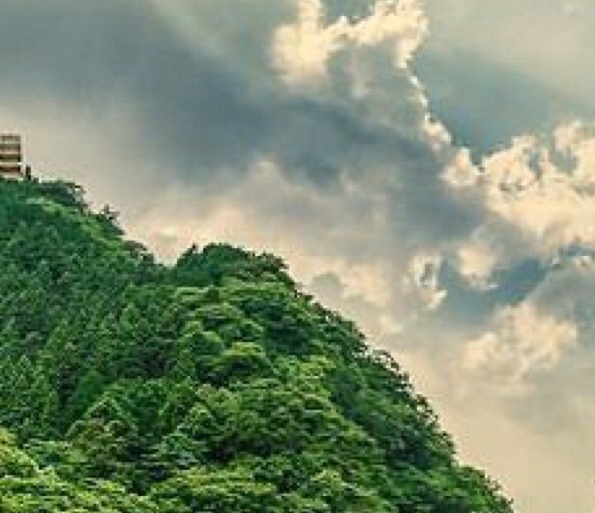 放心购物商城