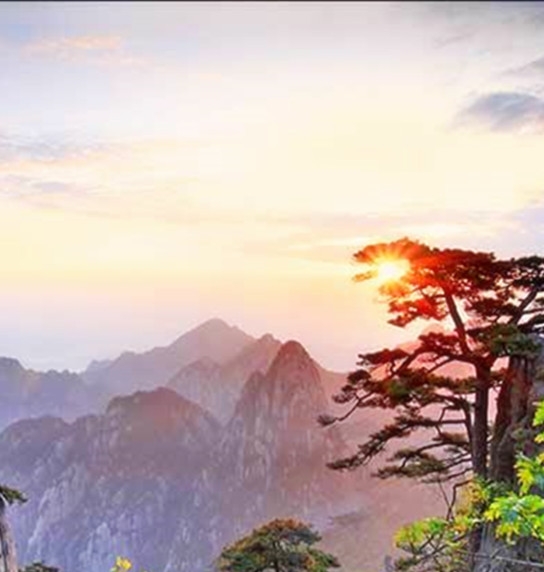 我想对老师说