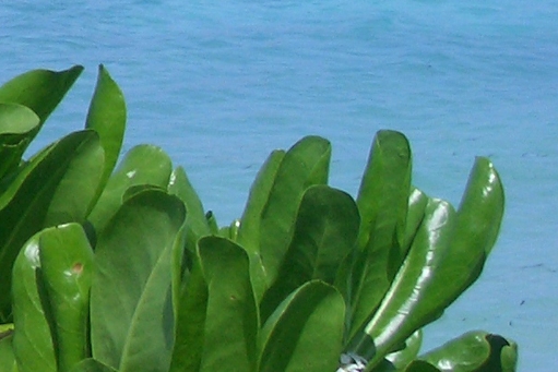 生活阿胜