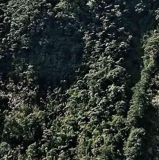 名间艺人浮漂怎么样