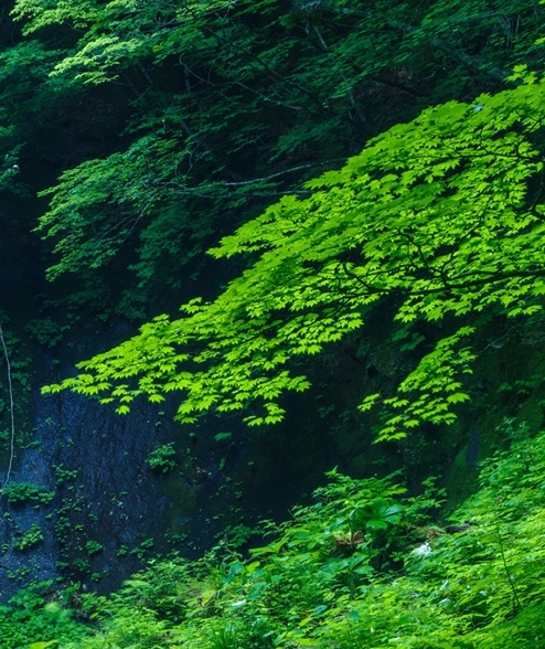 横琴购物优惠