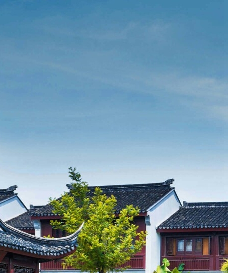 艺术涵盖的范围