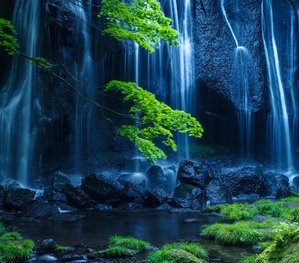 广州农村疫情感悟