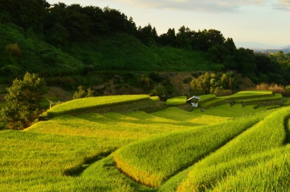 生活常识小知识