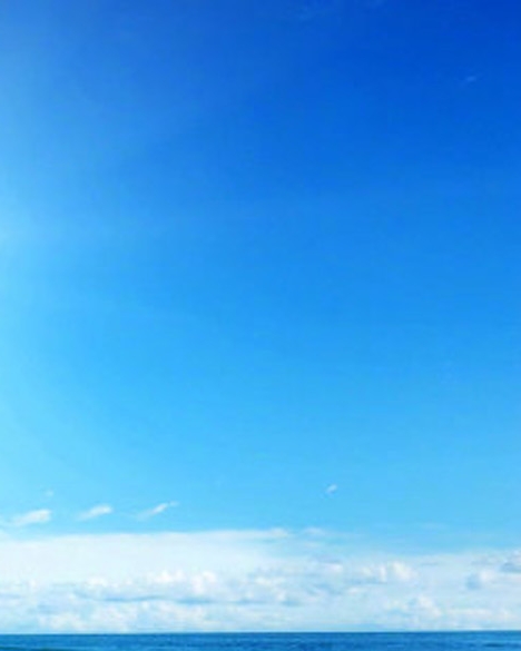小麦艺术留学