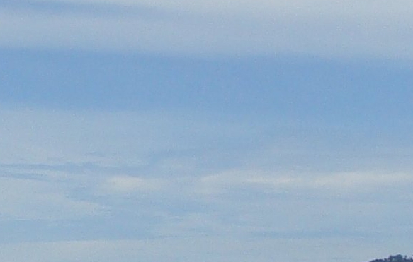 明鸿商城