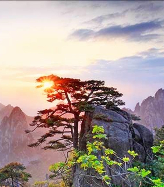 武汉吴家山疫情最新消息