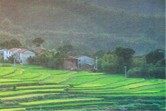 北岸艺术画